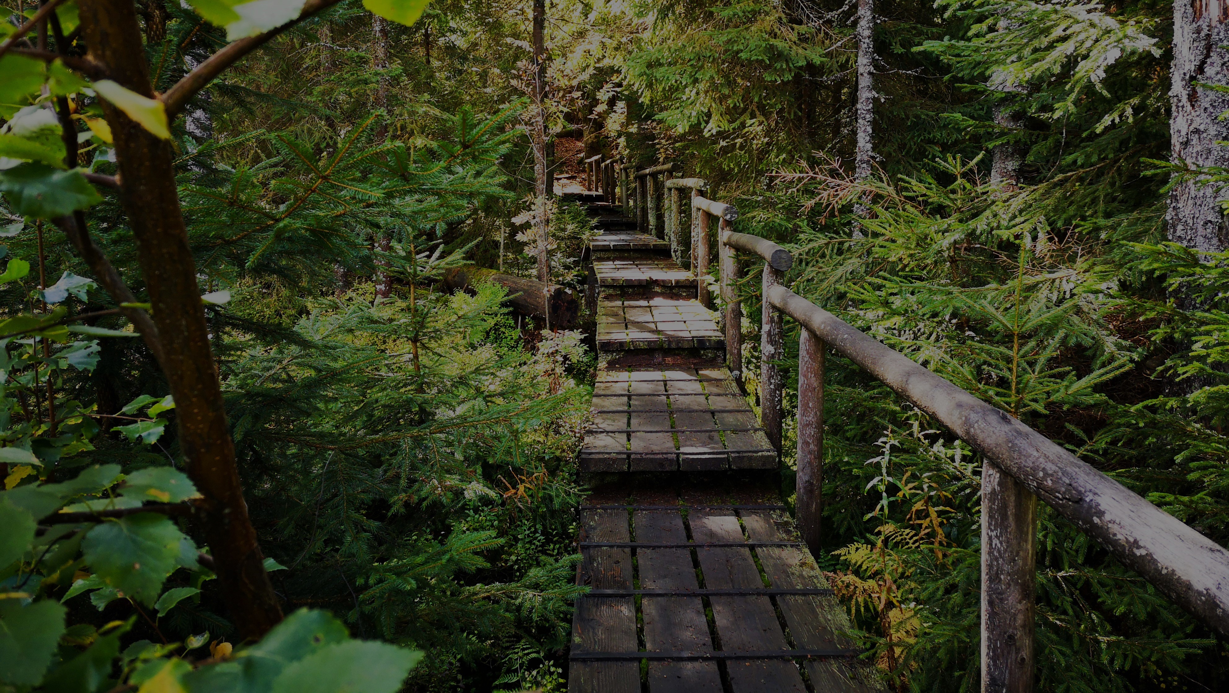 Bannerbild | zur Startseite