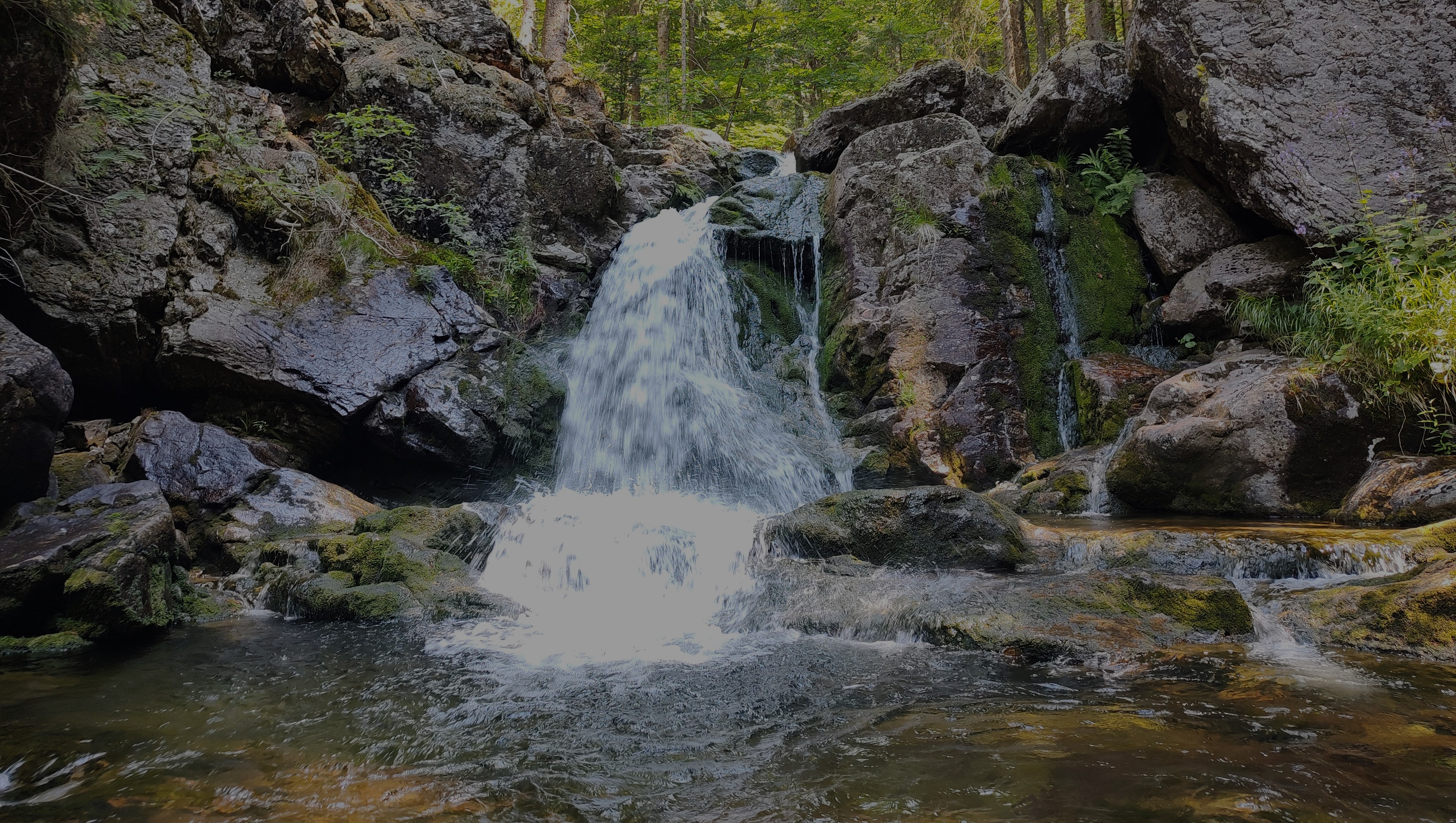 Bannerbild | zur Startseite